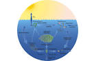 Visuals: The biological pump