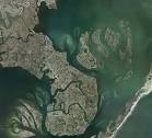 great bay blvd « Conserve Wildlife Foundation of New Jersey