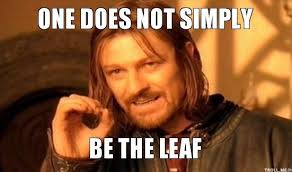  photo One Does Not Simply Be The Leaf �.gif