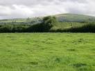 SX6354 : Pasture land on the - via Daymix