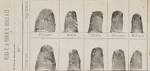The History of Fingerprints