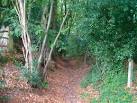 near to Terwick Common, - via Daymix