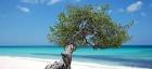 Aruba Vacations - Find Hotels and more the original Aruba Travel Guide