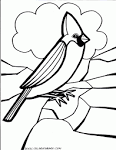 Bird coloring page