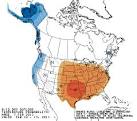 http://www.wunderground.com/hurricane/2011/feb7_6-10day.png