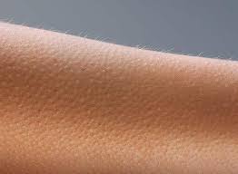 images?q=tbn:ANd9GcTu1KPyjRaSK5QC5b1znPGCnnq0cqRCajKv7K81EfTpic2SnUhxpUsMgX0KBQ