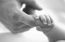 external image images?q=tbn:ANd9GcTuKrKRjr6wTPW5aVXK0BpR1aEl15W3wb1AR-rycJKI747ehrX_bQ