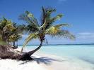 Cayo