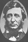 David Thoreau's “Civil