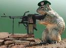 US Army to setup camp on Second Life