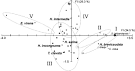 ScienceDirect.com - Palaeogeography, Palaeoclimatology ...