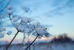 THE PEOPLE VS WINTER