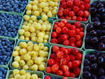 Plik:Variety is the spice of life.jpg – Wikipedia