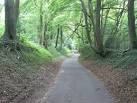 Hambledon: Glidden Lane. A leafy, banked lane through trees east of - via Daymix