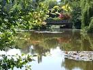SU9262 : Windlesham Arboretum - via Daymix