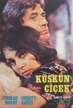 Sümer Tilmaç Küskün Çiçek Filmi İzle
