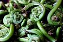 VeganYumYum » Fiddlehead Ferns