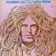Ted Nugent and the Amboy Dukes