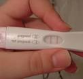 How Early Do PREGNANCY TESTs Work | Ovulation Predictor Calendar