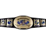 NSW Intercontinental Championship - CAW Wrestling Wiki