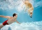 Victoria's Fav Dog Activities : It's Me or the Dog : Animal Planet