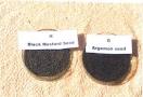 Common Adulterants in food and Simple screening test for ...