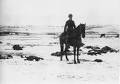 The Wounded Knee Massacre - December 1890