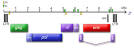 Feline immunodeficiency virus - Wikipedia, the free encyclopedia