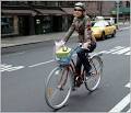 Cyclists, Motorists and the Law : TreeHugger