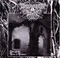 Depressive Black Metal: Drowning the Light - Through the Noose of ...