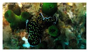 กองหินมุสัง