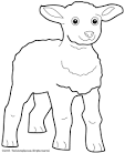 Lamb coloring page