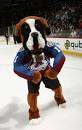 Colorado Avalanche Merchandise | Logo Products 4 Less