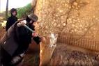 Destruction of ancient Assyrian city of Nimrud by Isis is a war.
