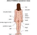 Women's health - Medicalook