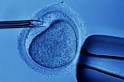 Discovery Health "How In Vitro Fertilization Works"