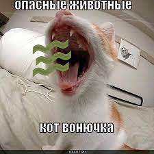 images?q=tbn:ANd9GcTyJB_ipH5kEa6w_IhXLdl3xTrO5q5w7-e5FNlNhocCN-OSsGNpLQ02vzOMrw