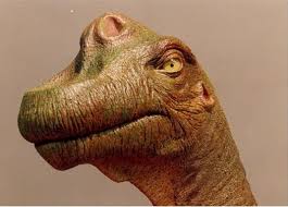 images?q=tbn:ANd9GcTyVBJhuX0oqCrbpVFw-rqAFMAReI1M3onpkRDejUp780pwT5ve