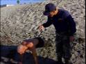 Navy SEALS BUDS Class 234   DVD Talk Review of the DVD Video