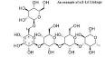 Glycosidic bond - Wikipedia, the free encyclopedia