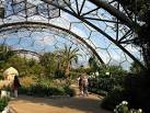 plants of Southern Africa, - via Daymix