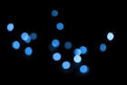 blue LED chrismas lights - via Daymix
