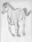 RapidFire Racing - Horses Fan Art (1912943) - Fanpop fanclubs