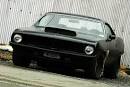 http://chrisescars.com/wp-content/uploads/2010/02/kuda2-500x333.jpg