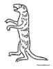 Mongoose coloring page