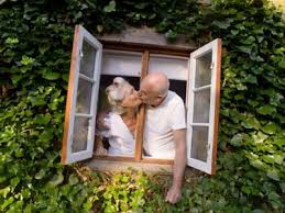 external image images?q=tbn:ANd9GcTzkdlttL2R_55fObqy3nqsyFHTT1Rb-6WnpQTJUlNWpcgqnmcv