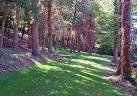 Woodland in Kitson Park. The main entrance to the park is from Cadewell Lane - via Daymix