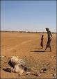 BBC NEWS | Science/Nature | 'Barren future' for Africa's soil