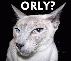 http://t1.gstatic.com/images?q=tbn:ANd9GcTzyBYk0DI_usa6GOqb65s2ESy6JDjjIENKpixyM5JnfGm6S7E&t=1&usg=__h1LeHS8WdmU2YtFPtJeQMhn-ClA=