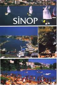 Vega Yaz�l�m - Sinop �� Seyahati